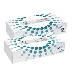 kapesníčky hygienické PAPERNET, 2vrstvé, bílé, celulóza (21x21cm) - 100ks v krabici 