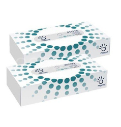 ubrousky/kapesníčky hygienické PAPERNET, 2vrstvé, bílé, celulóza (21x21cm) box - 100ks