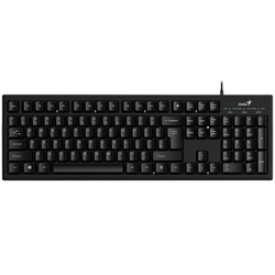 klávesnice drátová GENIUS KB-101, USB, leštěný hliník - černá 